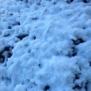 Meet your Posher, Isabella